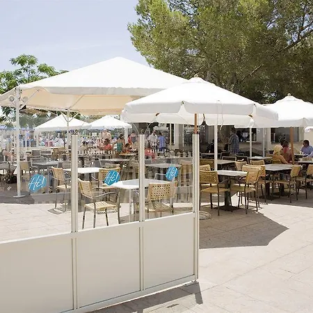 Globales Bouganvilla